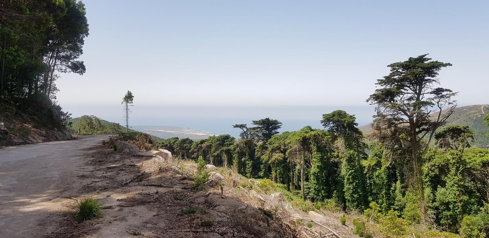 Pedra Amarela Viewpoint